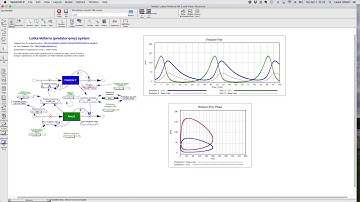 Introduction to Phase Space and Attractors pt.2