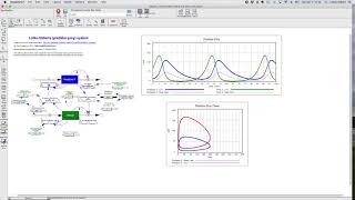 Famous Introduction to Phase Space and Attractors pt.2 Net Worth