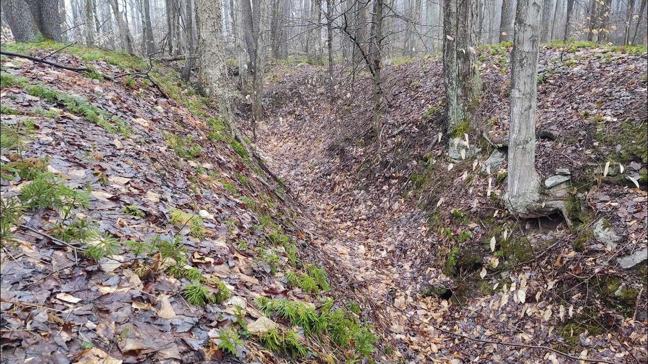 What is Mine Subsidence?