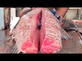 Amazing Rohu Fish Cutting Skills By Machine | New Fish Cutting Techniques In Fish Market