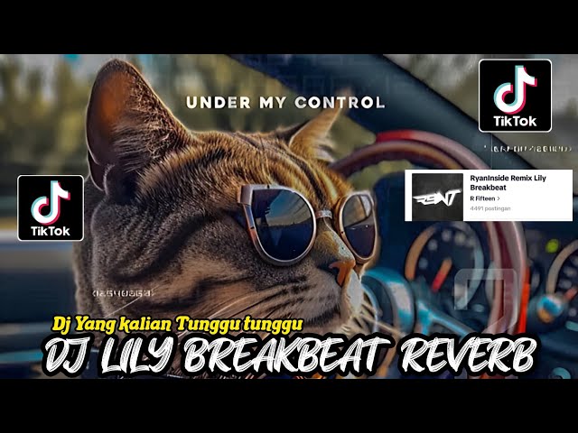 DJ LILY BREAKBEAT  REVERB  REMIX VIRAL TIKTOK class=