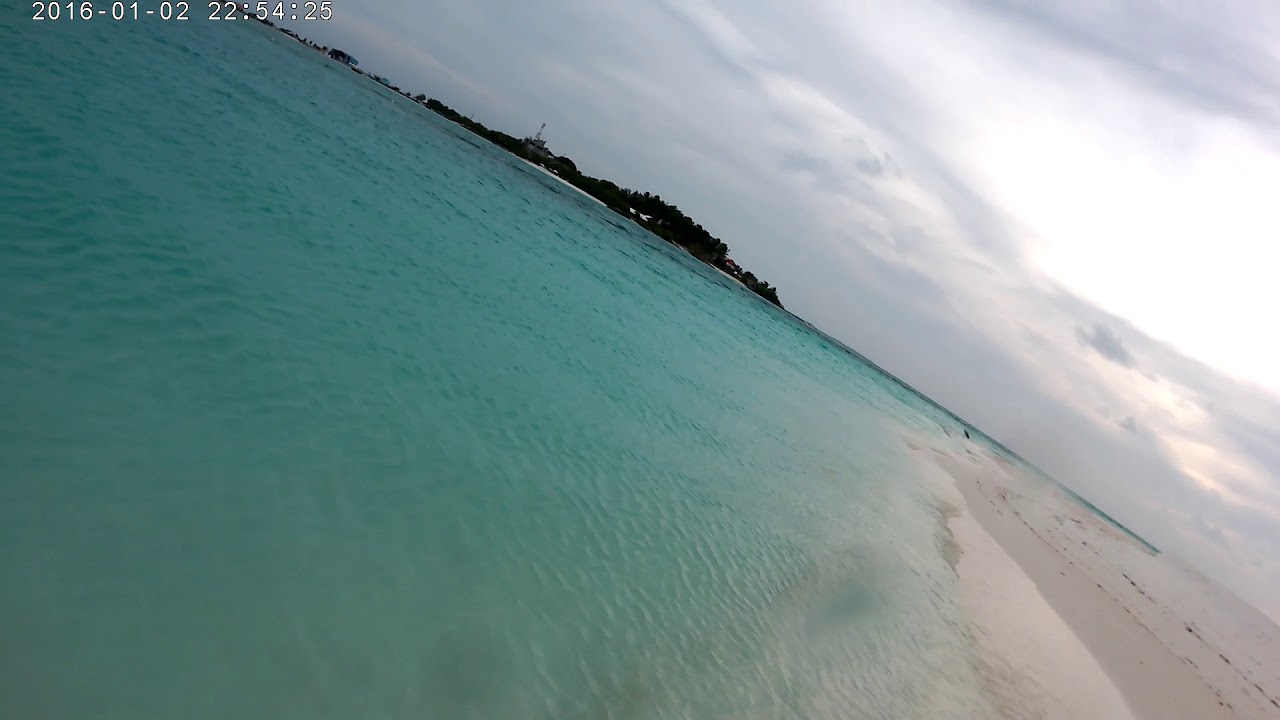 Hai am Strand von Meeru Malediven