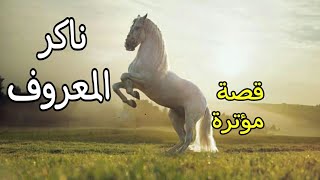 ناكر المعروف / حكاية عجيبة / بالصوت والصورة / حكاية شعبية من التراث قبل النوم.. أغمض عينيك واستمع