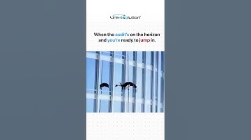 Your Audit, when you choose to accept it #accounting #audit #shorts