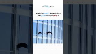 Your Audit, when you choose to accept it #accounting #audit #shorts