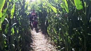 Our 2013 Halloween Pumpkin Patch Trip