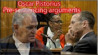 Oscar Pistorius Pre-Sentencing Arguments: Monday 13 October 2014, Session 2