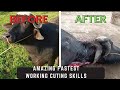 Amazing fastest working cuting skills | Buffalo cuting skills in Boota and brother meat shop