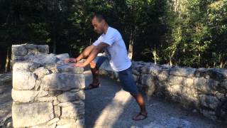 Push Up + Hip Flexion