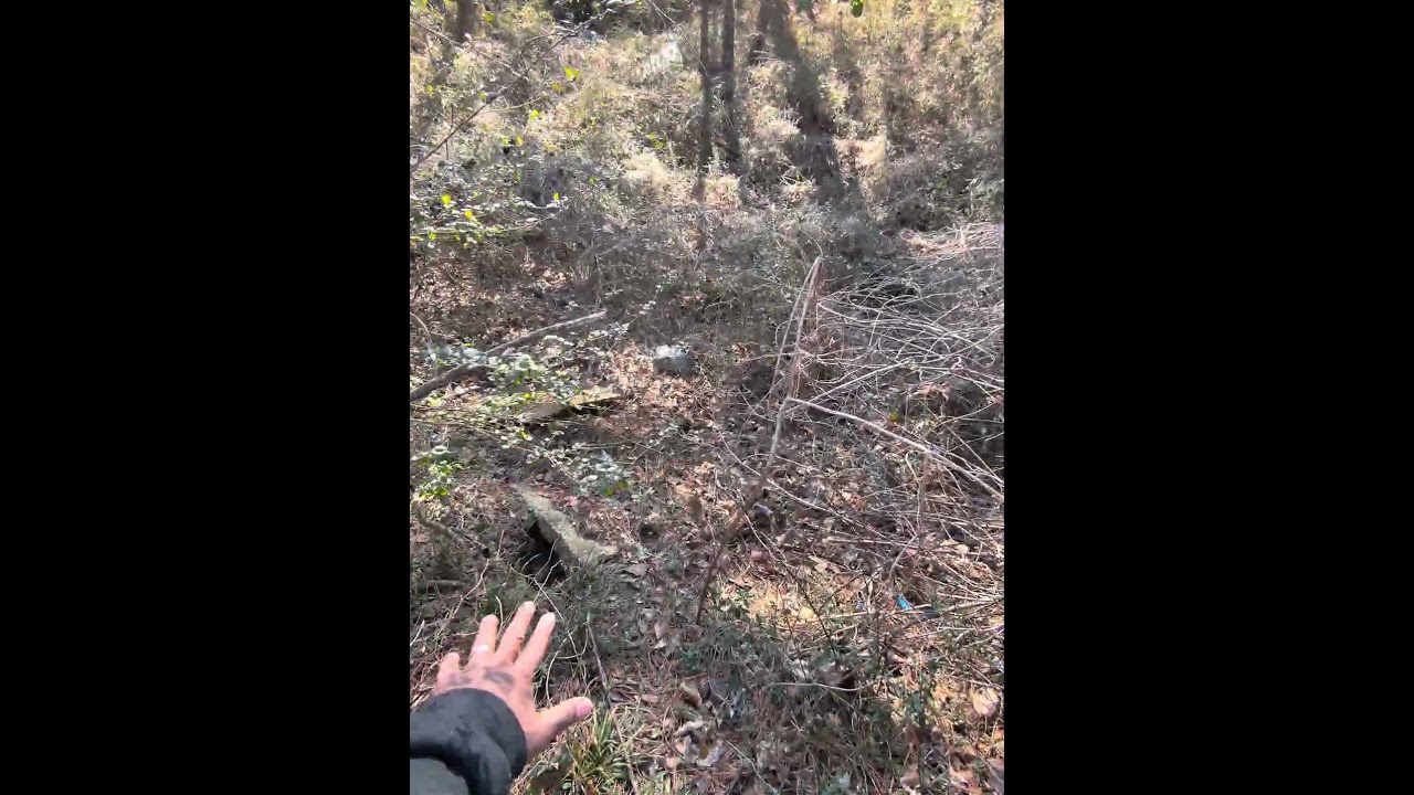 Building a farm for kid's. Agriculture  Daycare!!!  