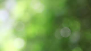 Beautiful summer abstract season nature background screenshot 3
