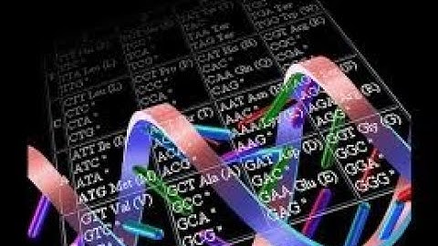 How to Use the Genetic Code Table Part 3; Reading Frames and Open Reading Frame (ORF)