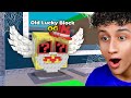 I Unlocked The OLDEST Lucky Block!