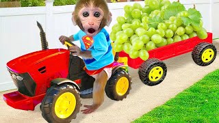 🍦🐒🌈 小猴子 BonBon 和小猴子朋友们一起去公园玩，还吃了彩虹冰淇淋。 | BonBon奇妙屋