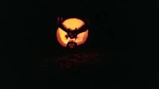 Pumpkin Patch with giant scarecrow & dogs