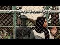 BANDA NEIRA - SAMPAI JADI DEBU cover habibwafa x dita