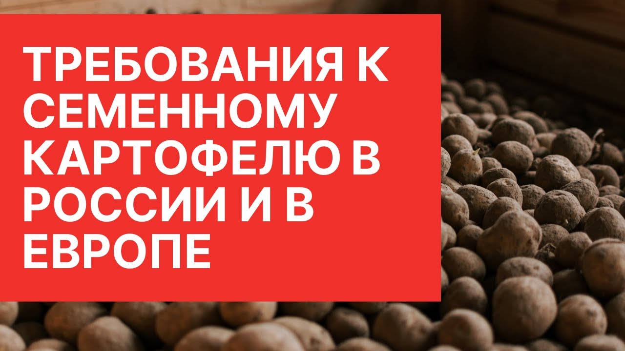Сравнение Российского ГОСТ 33996-2016 и Европейского стандарта NAK