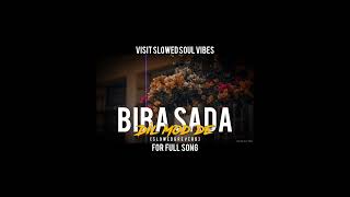 Biba Sada (Slowed + Reverb) | Abdullahpur Ka Devdas | Slowed Soul Vibes