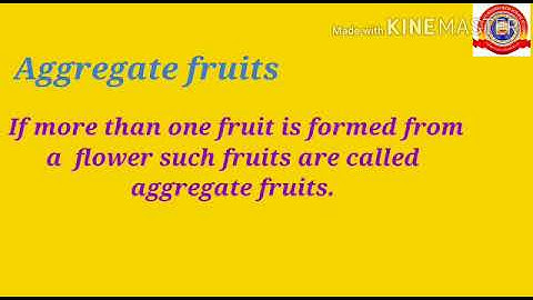 KRSMA#Standard 6 Basic Science Part 6 Chapter 3 Flower To Flower.