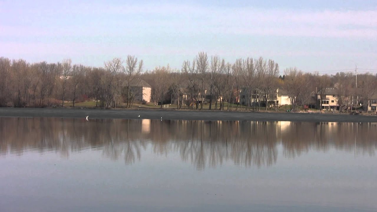 BIRD CALL?  or WHAT?