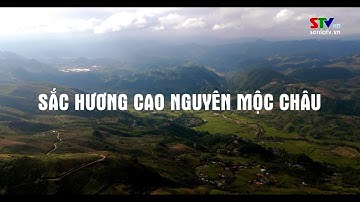 SẮC HƯƠNG CAO NGUYÊN MỘC CHÂU – TẬP 1: BẢN SẮC CAO NGUYÊN
