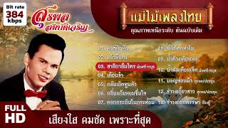 สุรพล สมบัติเจริญ 13 เพลง หงส์ปีกหัก