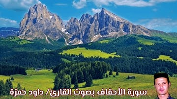 سورة الأحقاف بصوت القاري/ داود حمزة - Surat Al Ahqaf