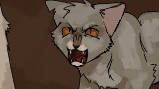 The Medic | Darktail/Hawkwing