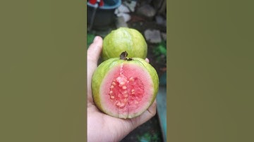 #shortsfeed #fruits #shortvideo #shortsviral #youtubeshorts