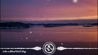 DAXTEN, WAI FEAT. MIA PFIRRMAN - Like a Blind Girl's Dog