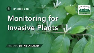 Monitoring Invasive Plants - From the Woods Today - Episode 248