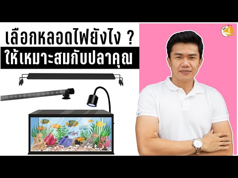 หลอดไฟ เลือกแบบไหนดี ??(ไฟตู้ปลา) - SNC STORY #ไฟตู้ปลา #ไฟLED #RGB #เลี้ยงปลา #ปลาสวยงาม #ตลาดปลา