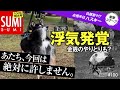 浮気現場を目撃してしまった柴犬
