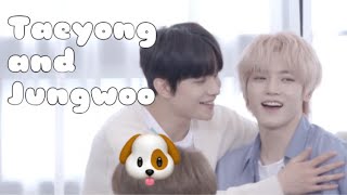 leader taeyong and his snoopy puppy a.k.a jungwoo