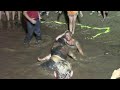 Fourth of Juy Mud Wrestling at Toyland Llano Texas