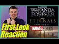 Eternals Teaser Reaction + FIRST LOOK at Black Panther 2 Title & MORE