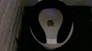 Toilet Flushed In Balboa Park California