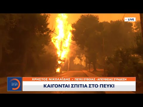 Εφιαλτικές εικόνες στο Πευκί –Στις φλόγες τα σπίτια | Μεσημεριανό δελτίο ειδήσεων 08/08/21 | OPEN TV