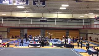 2013 Level 8 bar routine