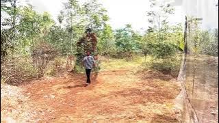 Gagal merangkai hati ( maulana  wijaya) di cover dadan enha