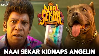 Naai Sekar Kidnaps Angelin | Naai Sekar Returns Movie Scenes | Shivangi's |Redin kingsly |  Manobala