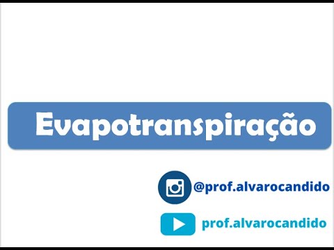 Vídeo: Diferença Entre Evaporação E Transpiração