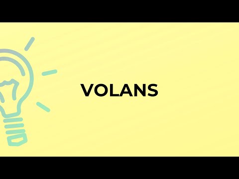 Video: Qual è il significato di volans?