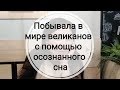 Что я вижу в своих осознанных снах. Выпуск #4