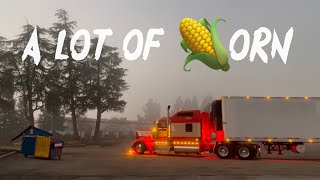 46,000 POUNDS OF CANNED CORN POV/ vlog style/ride with me