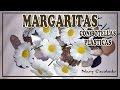 MARGARITAS CON BOTELLAS PLÁSTICAS