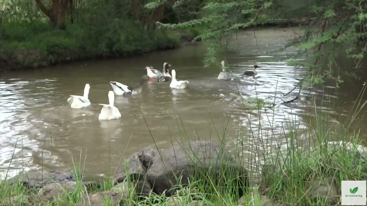Relaxing Nature Workout