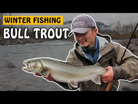 Fishing with Rod: Bull trout wrestling