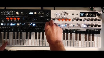 #Jamuary2021 Day 30: DrumFreak-Jam (Double MicroFreak Techno)