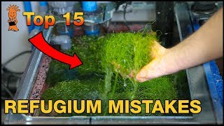 Refugium Mistakes: The WRONG way to set up a refugium.